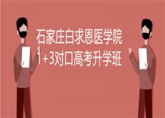 1+3对口高考升学班